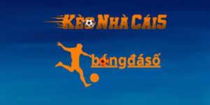 Bongdaso - Website đình đám giúp nhận định soi kèo dễ dàng