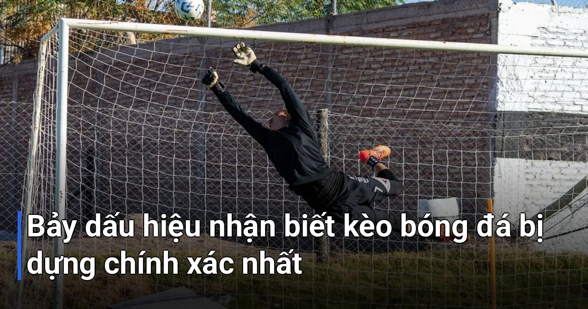 Đừng lo lắng nếu bạn mới bắt đầu, những dấu hiệu dưới đây rất dễ quan sát và bạn hoàn toàn có thể nắm vững sau vài lần thực