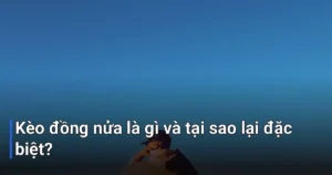 Kèo đồng nửa, còn được gọi là kèo cược kép FT/HT (Full Time/Half Time)